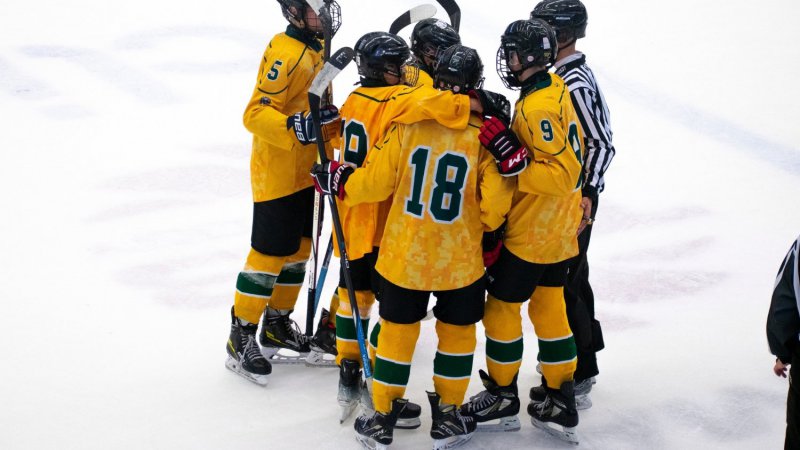 9. t��da m��e slavit! V�hrou nad Warriors za��dila udr�en� extraligy