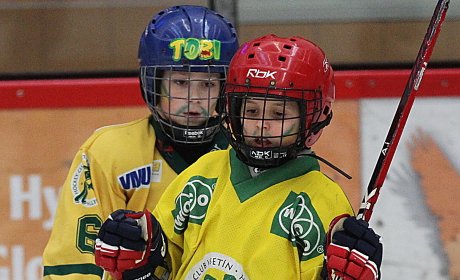 VHK pod trninkov program pro ronky 2002 - 2006, registrace kon v pondl