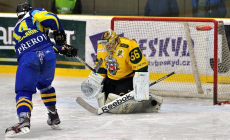 Vsetn v pestelce nestail na Perov