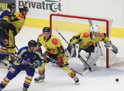 Zpasem v Uniov skonily ppravn zpasy Zubr 