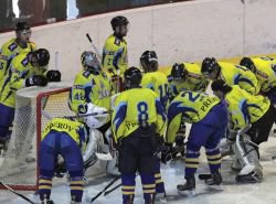 Zubry doma ve tvrtek prov prvoligov Olomouc!