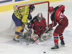 V ptm ptelskm utkn zm Zubi sly s Jestby