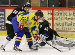 V Havov tm Zubr opt dlouho vedl, ale zase prohrl