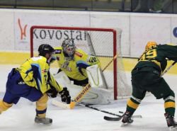 Valask tden zakon tm Zubr doma proti Vsetnu