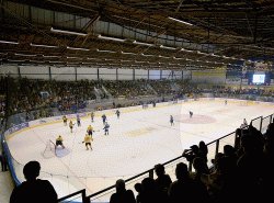 V prvn pprav vyrovnvali Zubi a v samotnm zvru