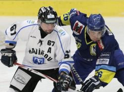 Na Hanou m ldr tabulky, Zubi doma pivtaj Havov