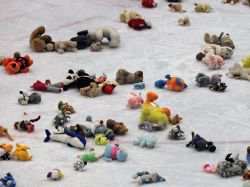 Zubi se t na dal derby, pijte jim fandit s plyky!