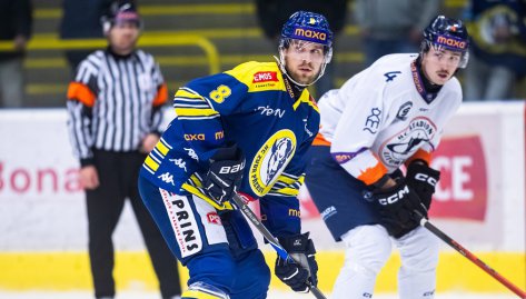 S�ss ukon�il dlouh� �ek�n� na branku, Zub�i ale ve sv�tek proti Litom��ic�m nebodovali