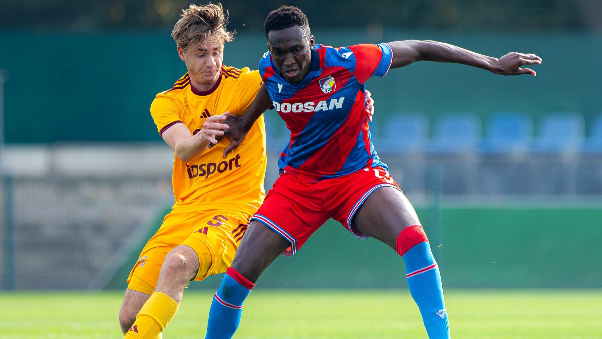 FC Viktoria Plze�