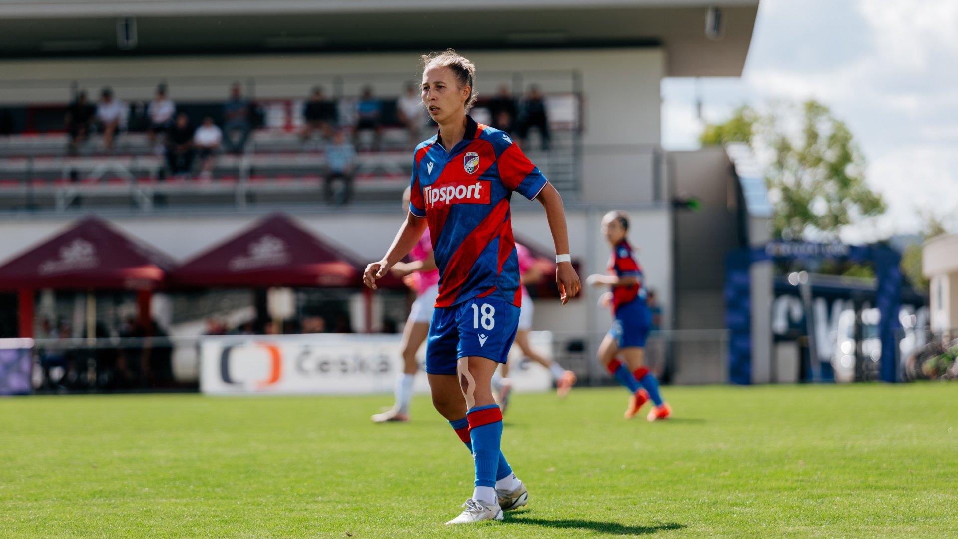 FC Viktoria Plze�