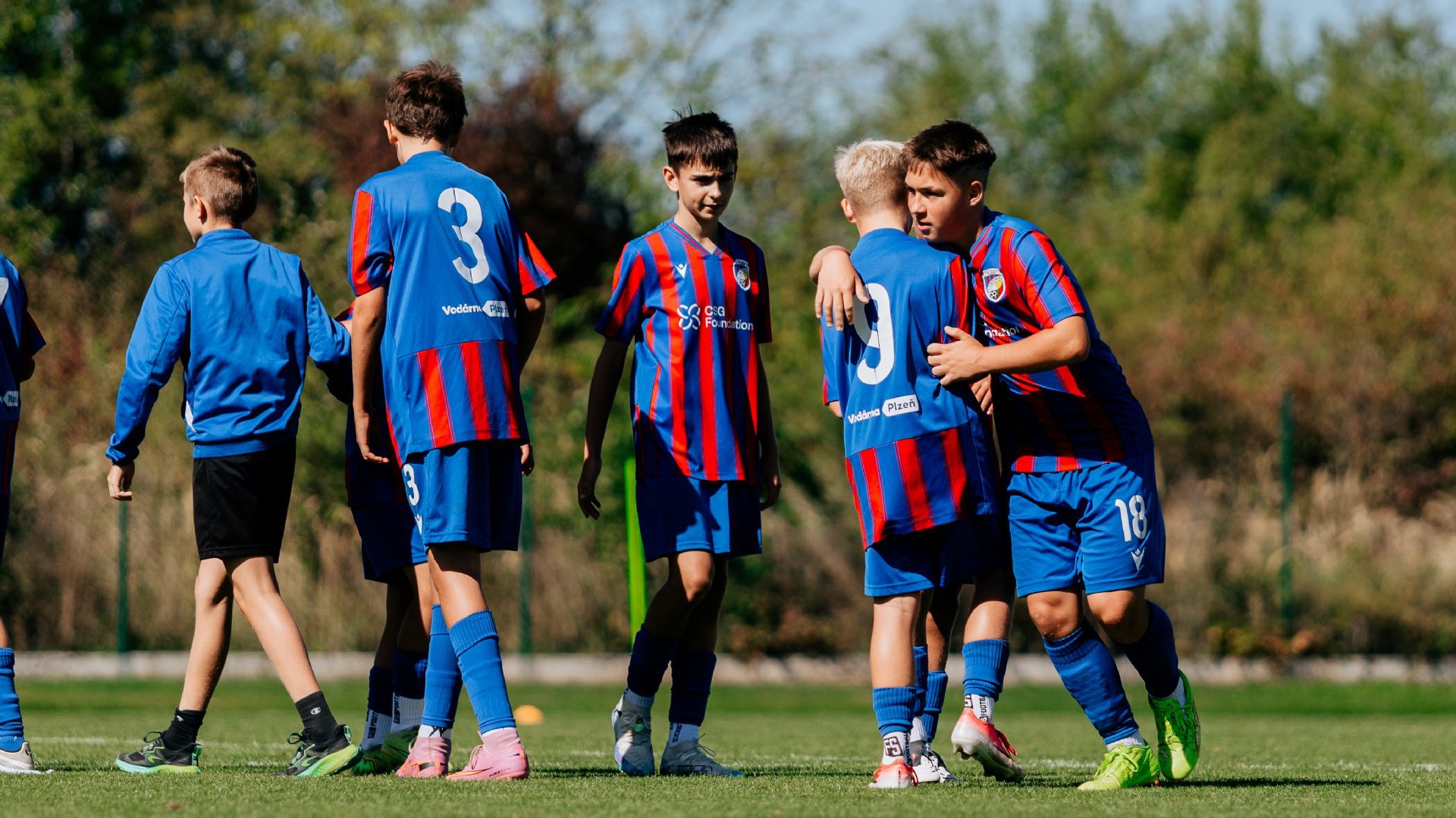 FC Viktoria Plze�