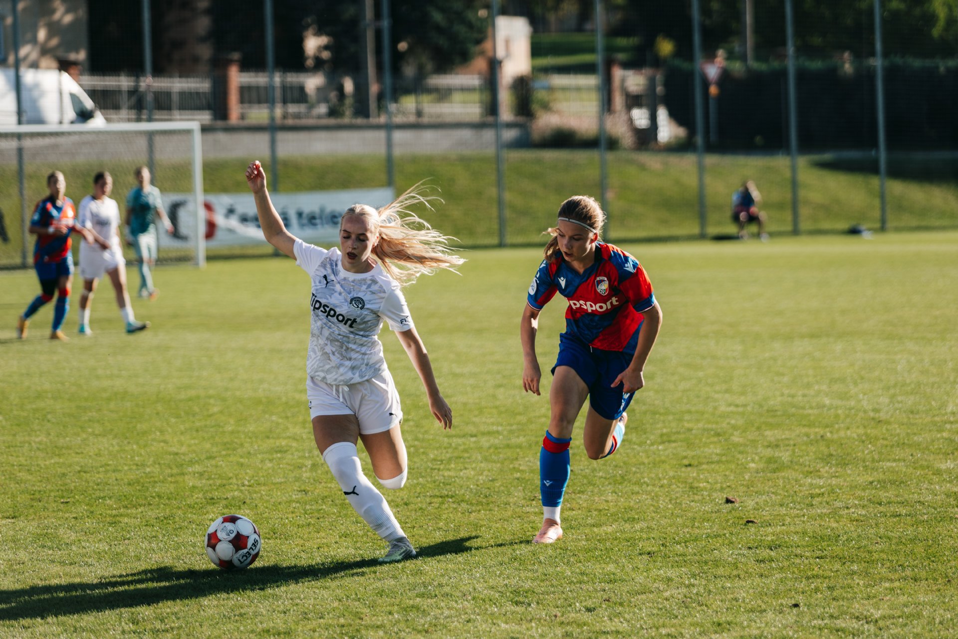FC Viktoria Plze�