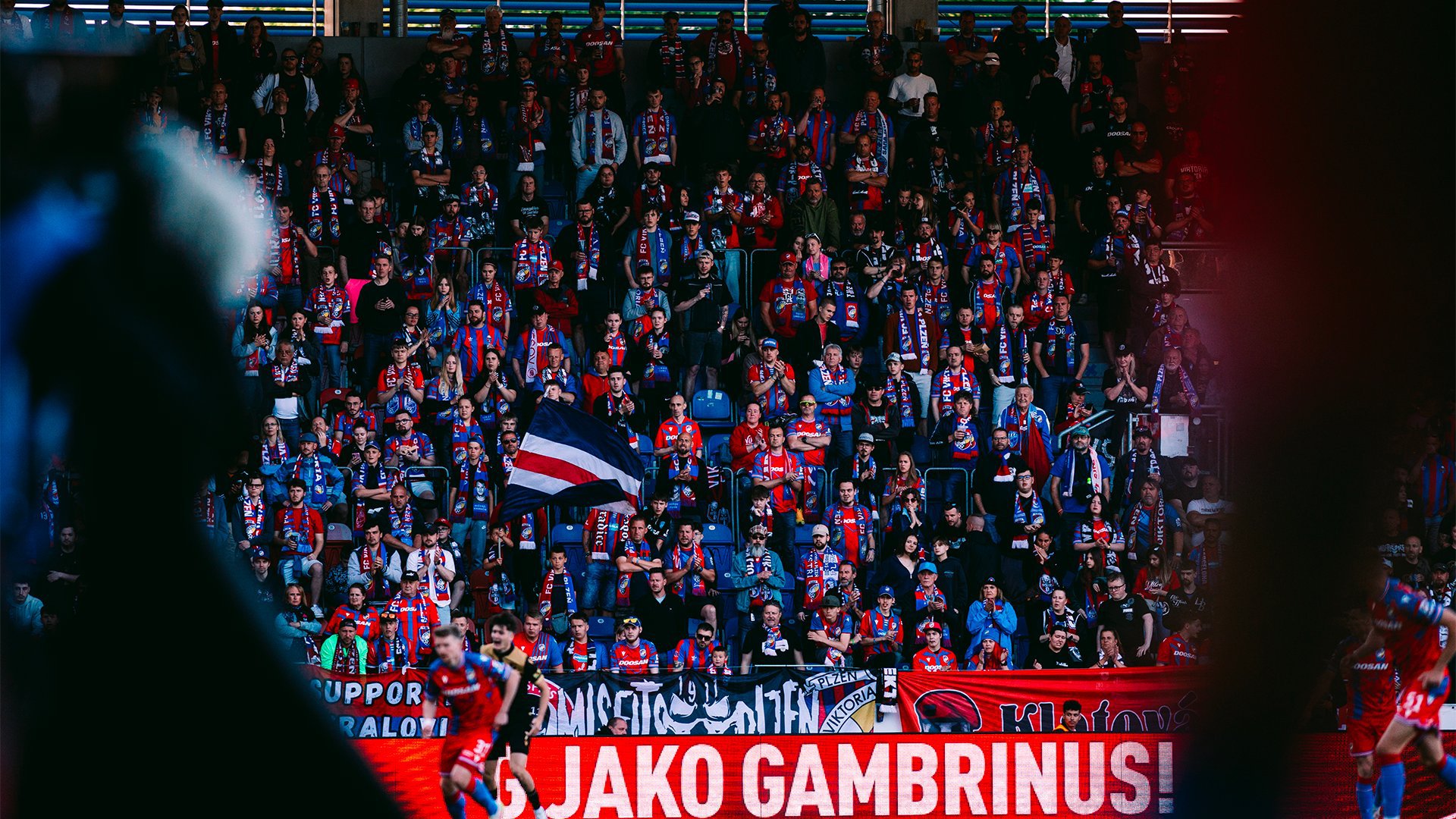 FC Viktoria Plze�