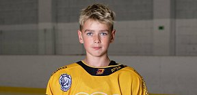 Jan Heřmánek 2025 2026 -