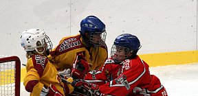 - mladsi dorost pardubice