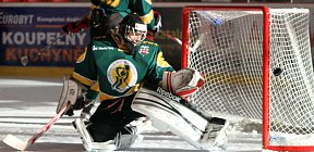 - 301113_JUN_JIH_VSE