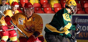 - 301113_JUN_JIH_VSE