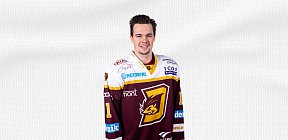 Nicolas Werbik pozadí 2018 - Nicolas Werbik pozadí 2018