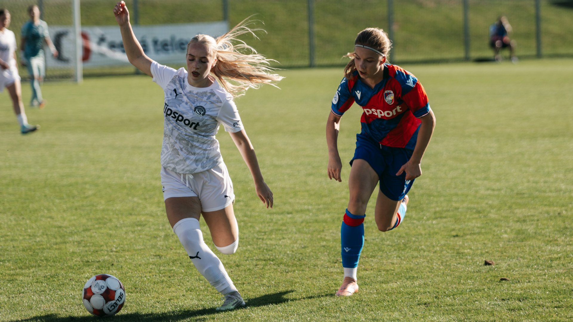 FC Viktoria Plzeň