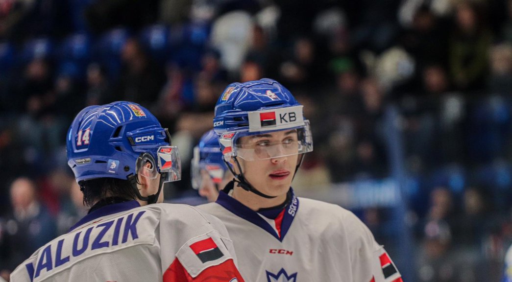 Obrázek