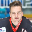 František Hnik