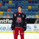 Josef Flechtner