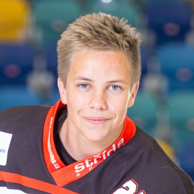 Jaroslav Brandejs