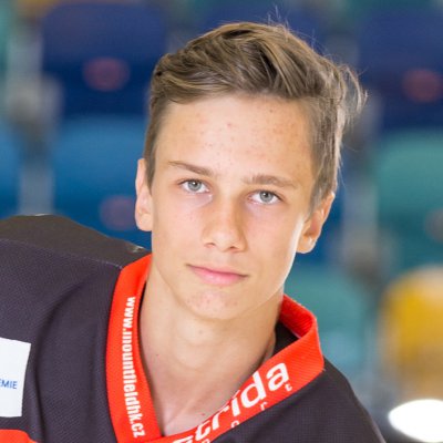 Martin Nedomlel