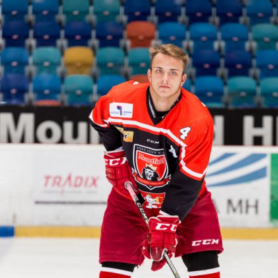 Dominik Šedivý