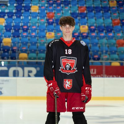Matyáš Krögler
