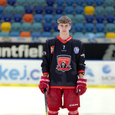 David Šichan