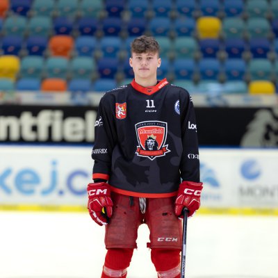 Filip Samek