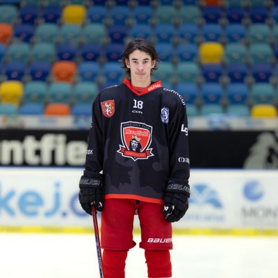 Josef Flechtner