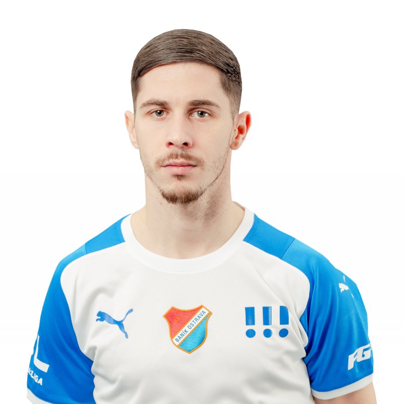 srdjan plavsic