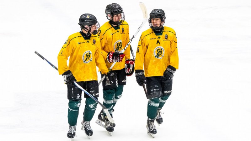 Dvoubrankov nskok nestail. Devci uspli proti Frdku-Mstku v prodlouen