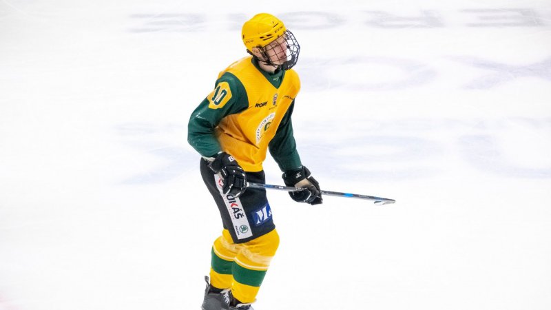 JUN: patn obdob? Pilo uspokojen, piznv Vinklrek. Tm se nesesypal