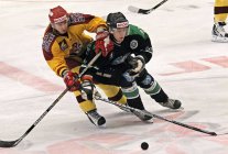 - Juniori Mlada Boleslav