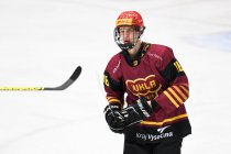 Ilarion Kuprijanov - junioři Hradec