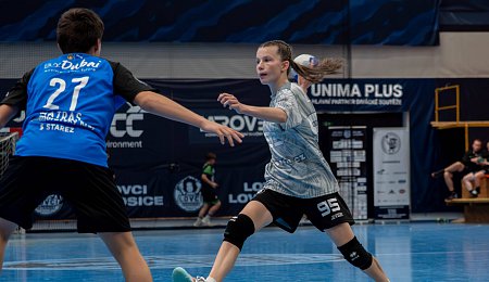 Autor: Michal Krásný a Robert Grim