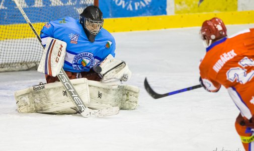 František Veselý, Jiří Hubáček