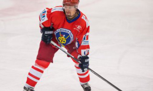 Autor: Stanislav Souček  | Pavel Hornyš