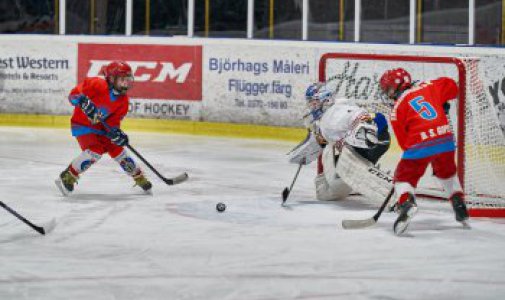 David Šrámek, Adam Šinkovský