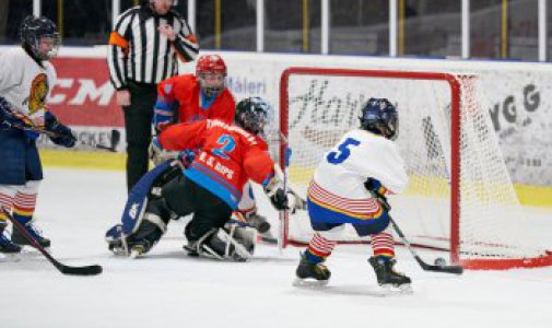 Vojtěch Štursa, David Šrámek