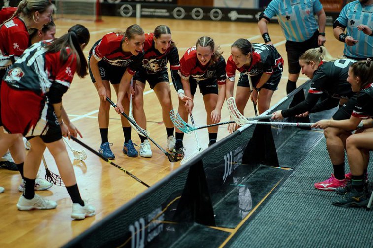 eny ukon kalendn rok na jihu ech! Vyzvou Tn a Budjovice!