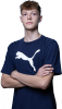 Vojtch Paln
