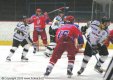 Nejl�pe draftovan� �ech 2005 Martin Hanzal v souboji p�ed brankou