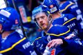 Pavel P�cha