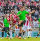 Patrik �vestka