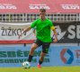 Patrik �vestka