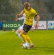 Dominik Vott